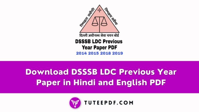 Download DSSSB LDC Previous Year Paper in English and Hindi PDF